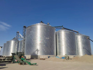 5000T Flat Bottom Silo