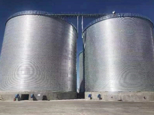 10000T Flat Bottom Silo